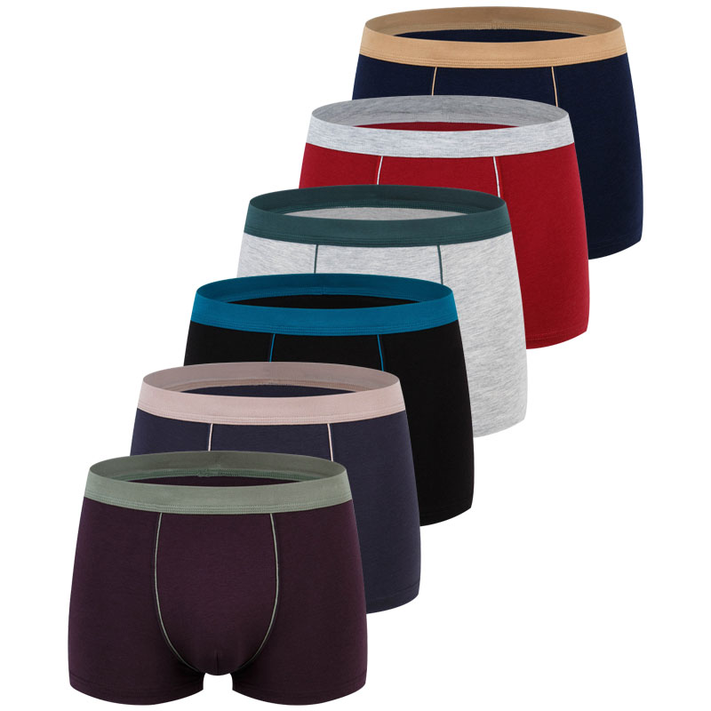 Boxer Brief Pack Cotton - Бесшовное нижнее белье большого размера, мужские